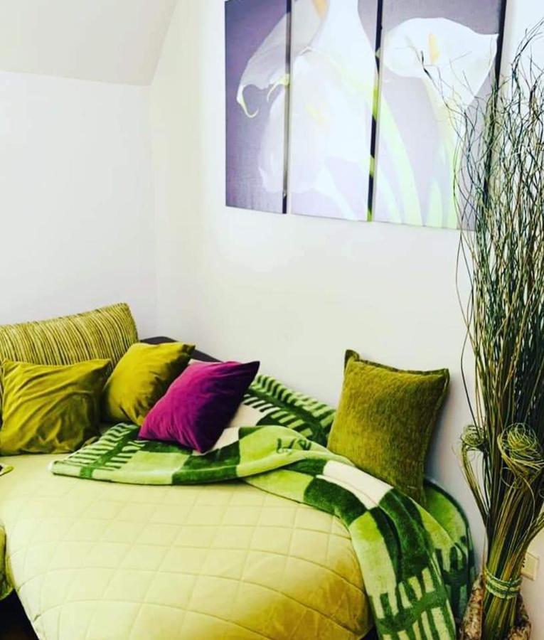Vila Dragana Žabljak Esterno foto