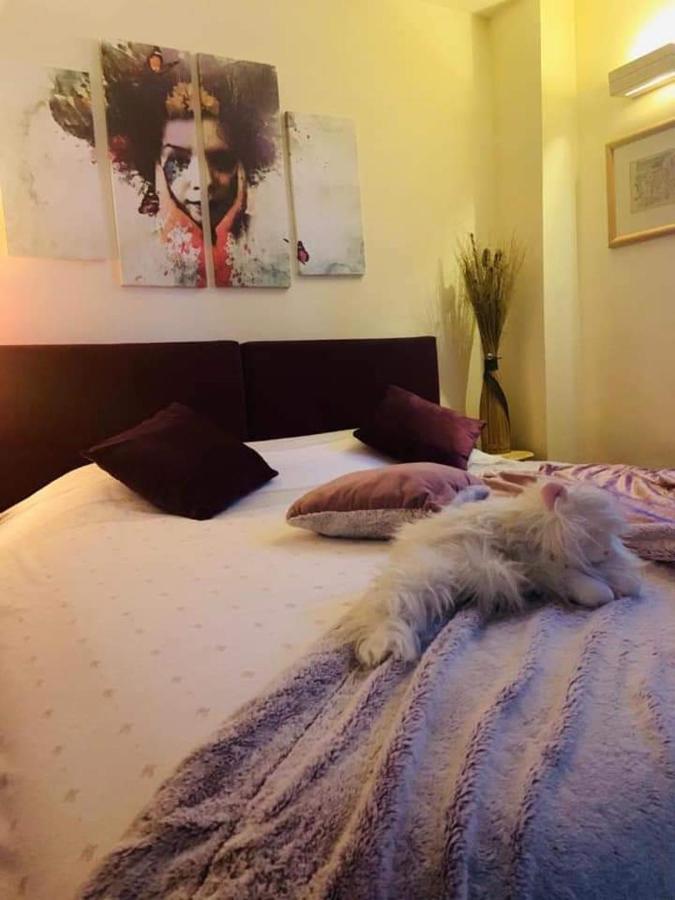 Vila Dragana Žabljak Esterno foto