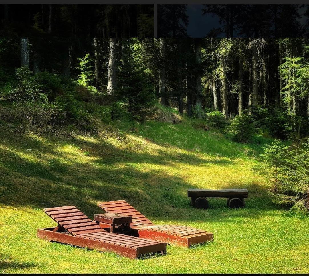 Vila Dragana Žabljak Esterno foto
