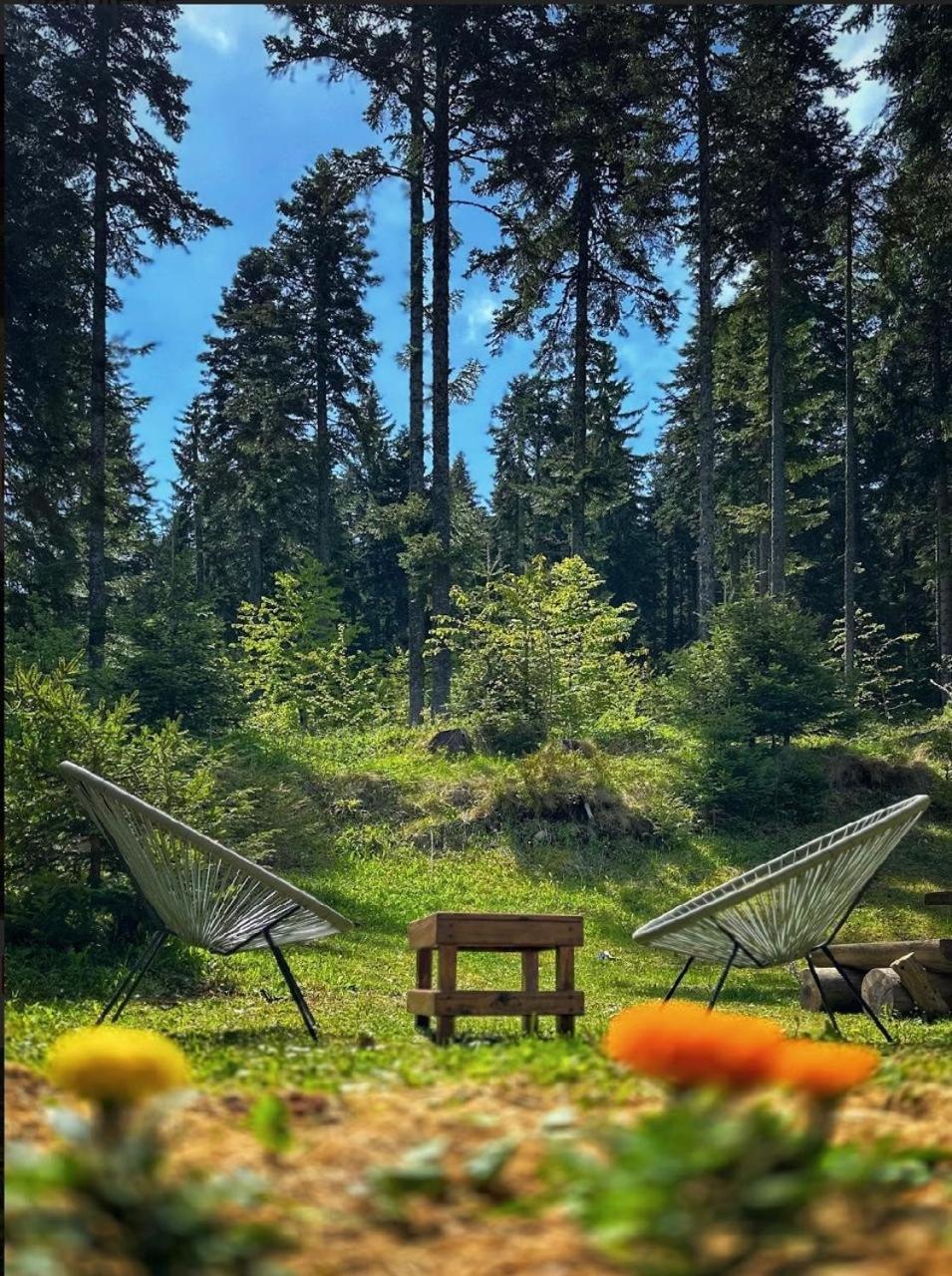 Vila Dragana Žabljak Esterno foto