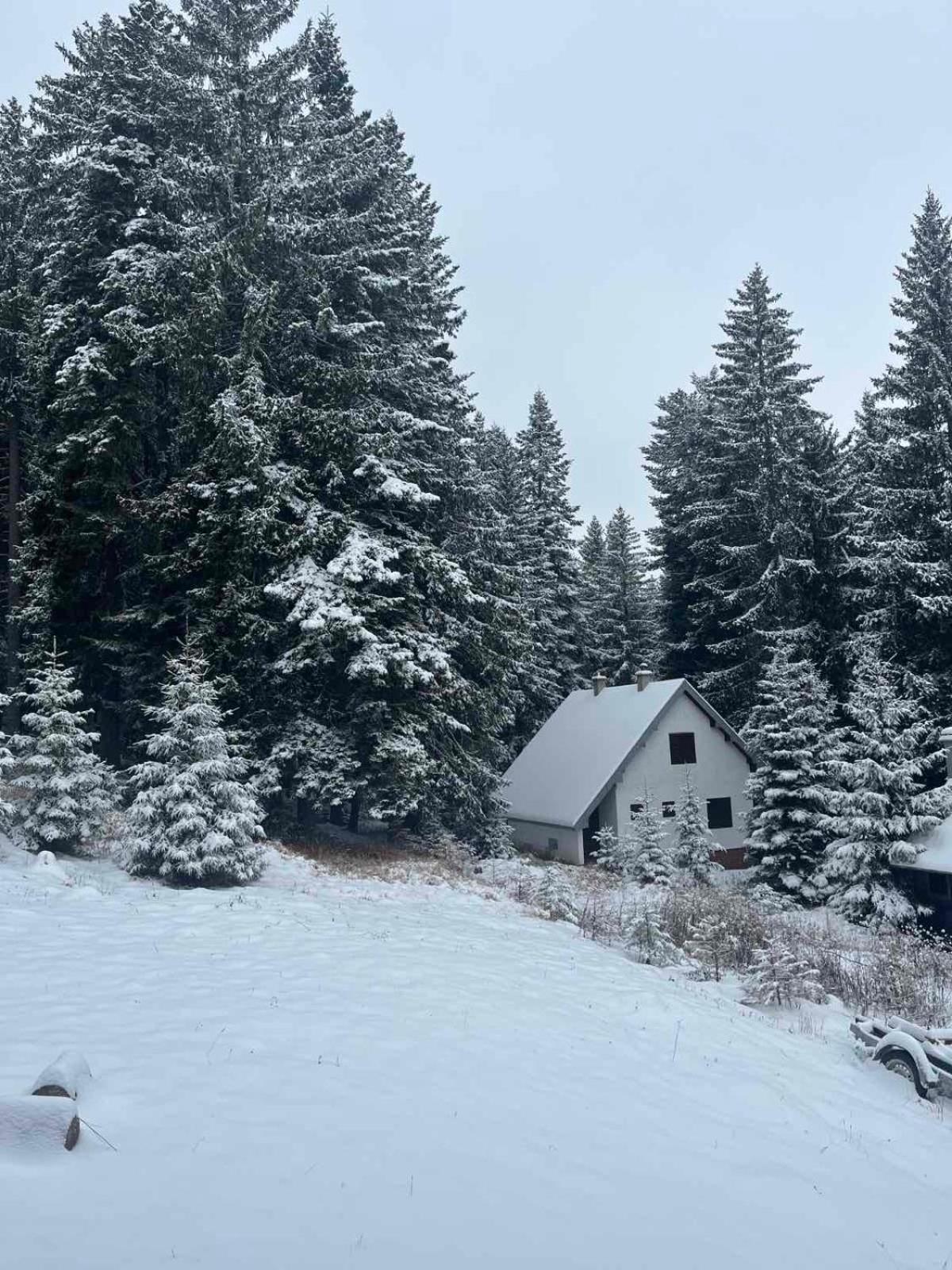 Vila Dragana Žabljak Esterno foto