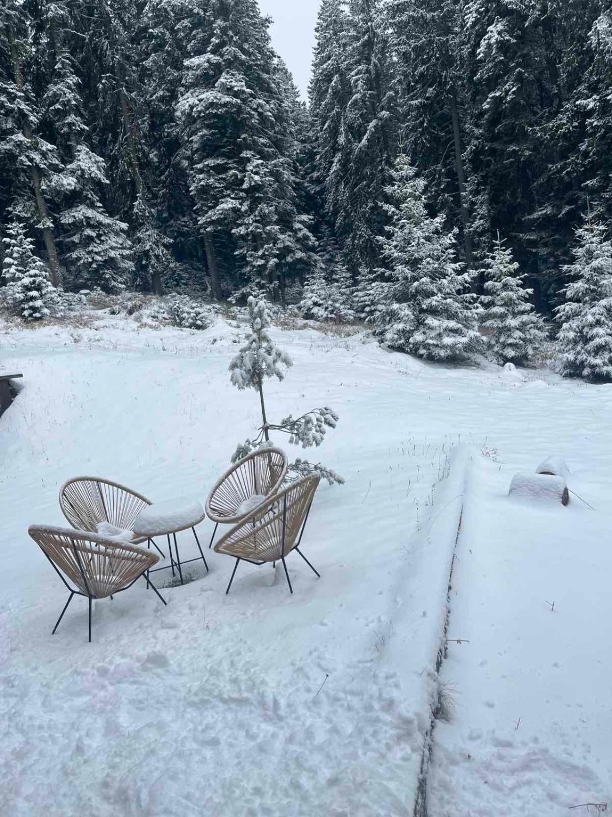 Vila Dragana Žabljak Esterno foto