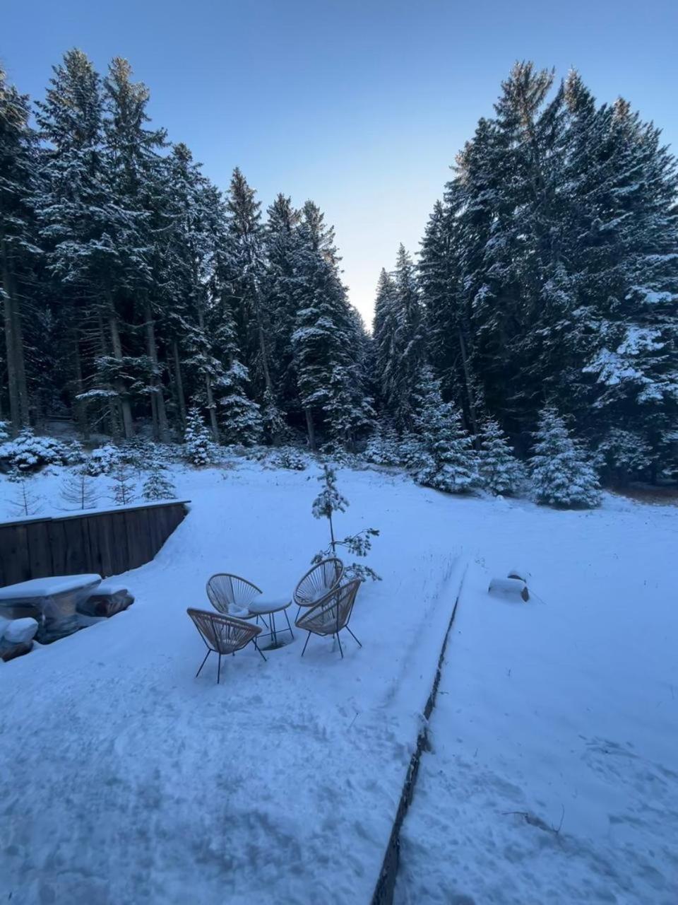 Vila Dragana Žabljak Esterno foto