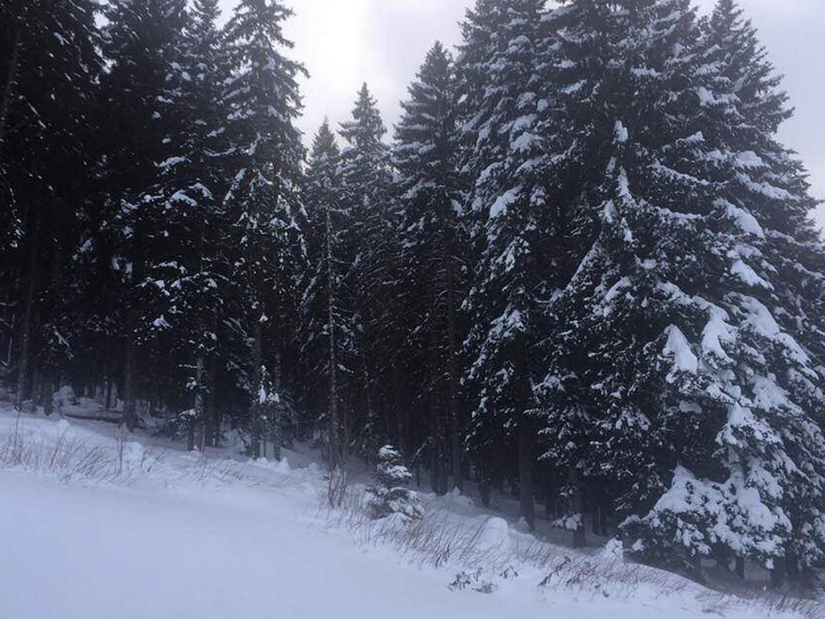 Vila Dragana Žabljak Esterno foto